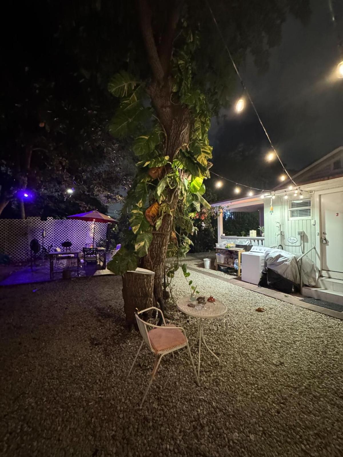Deluxe Room In Best Location Miami In A 2 Bedrooms Unit - Parking, Laundry And Luggage Storage エクステリア 写真